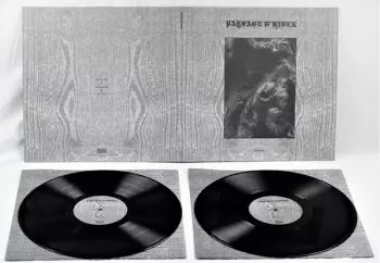Paysage D'Hiver: Steineiche