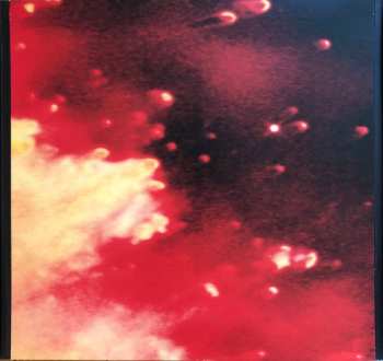 2LP Pearl Jam: Binaural