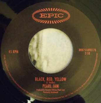 SP Pearl Jam: Hail, Hail