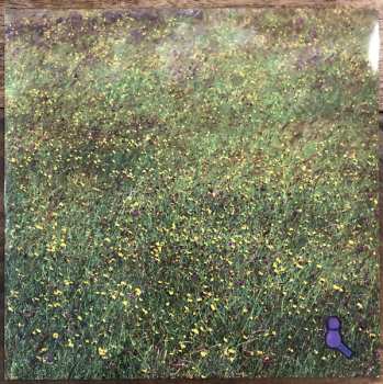 2LP Richard Dawson: Peasant