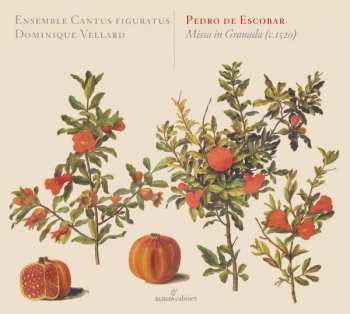 Album Dominique Vellard: Missa in Granada c. 1520