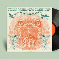 LP Pekka Laine & The ...: In Slumberland