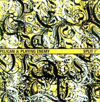 SP Pelican: Split 7" CLR | LTD