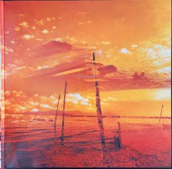 2LP Pelican: What We All Come to Need