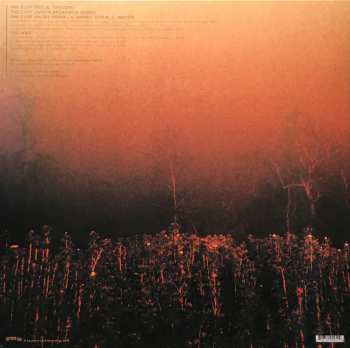 LP Pelican: The Cliff