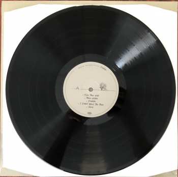 LP Stone Temple Pilots: Perdida