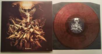 LP Permutation: Transience CLR | LTD