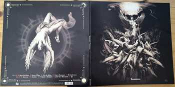LP Permutation: Transience CLR | LTD