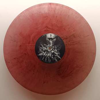 LP Permutation: Transience CLR | LTD