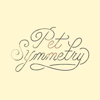 Album Pet Symmetry: Vision