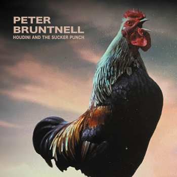 CD Peter Bruntnell: Houdini And The Sucker Punch