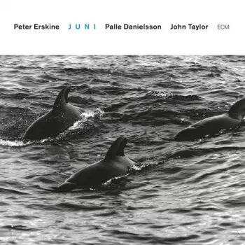 John Taylor: Juni