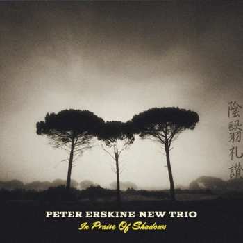 Album Peter Erskine New Trio: In Praise Of Shadows