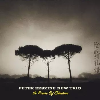 Peter Erskine New Trio: In Praise Of Shadows