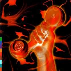 2CD Peter Gabriel: Secret World Live