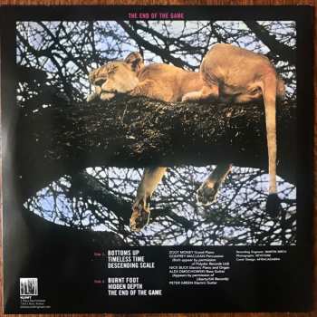 LP Peter Green: The End Of The Game LTD | CLR