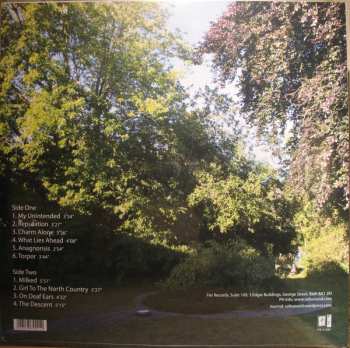 LP Peter Hammill: From The Trees