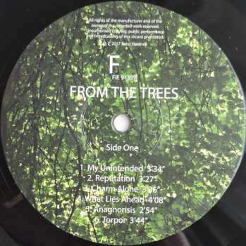 LP Peter Hammill: From The Trees