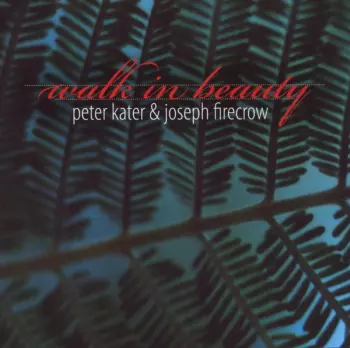 Peter Kater: Walk In Beauty