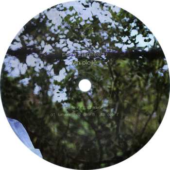 2LP Petre Inspirescu: Vin Ploile  CLR