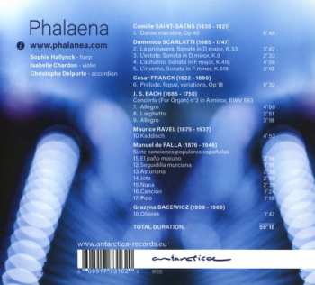 CD Phalaena: Reflections