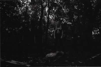 LP Phobophilic: Enveloping Absurdity CLR | LTD