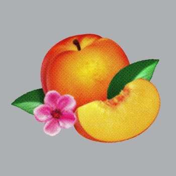 LP Phoenix: Bankrupt!