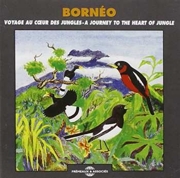 Album Picot / Sounds Of Nature: Borneo: Journey Heart Of Jungle