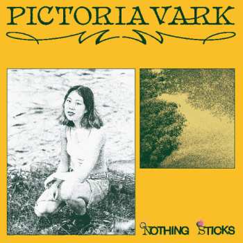 Album Pictoria Vark: Nothing Sticks