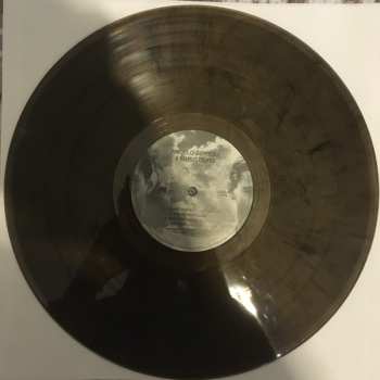 LP Pierangelo Bertoli: A Muso Duro LTD | NUM