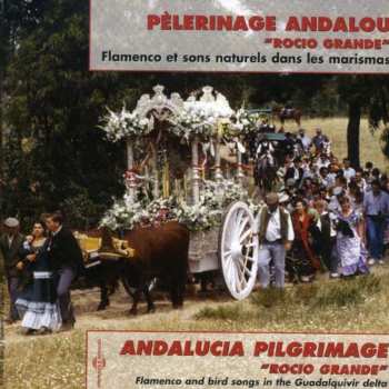 Album Pierre Huguet: Pélerinage Andalou "Rocio Grande"