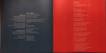 2LP Pinegrove: Skylight DLX | LTD | CLR