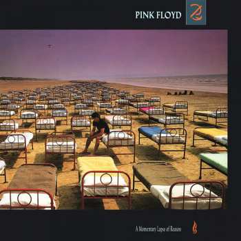 LP Pink Floyd: A Momentary Lapse Of Reason