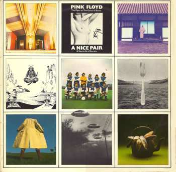 2LP Pink Floyd: A Nice Pair