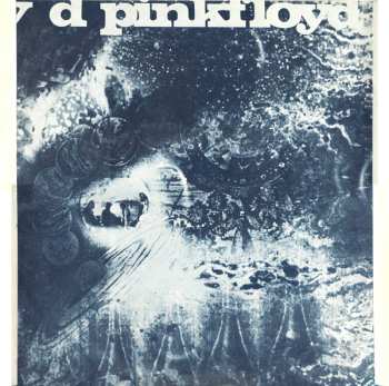 2LP Pink Floyd: A Nice Pair