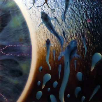 4LP/Dobozkészlet Pink Floyd: Pulse