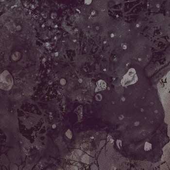 LP Pinkish Black: Razed To The Ground