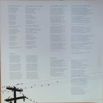 LP Pippo Pollina: Canzoni Segrete