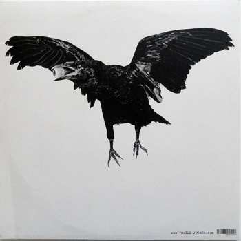 LP Pit Er Pat: Shakey