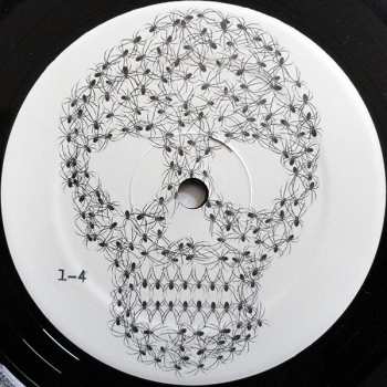 LP Pit Er Pat: Shakey