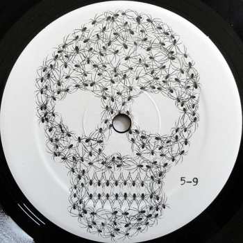 LP Pit Er Pat: Shakey