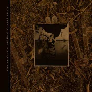 Album Pixies: Come On Pilgrim... It's Surfer Rosa