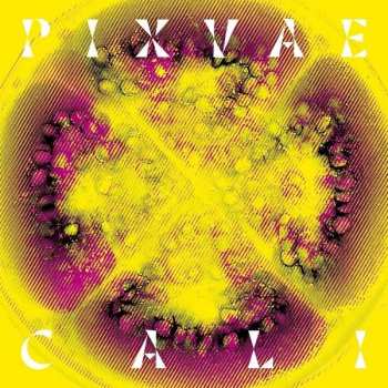 CD Pixvae: Cali