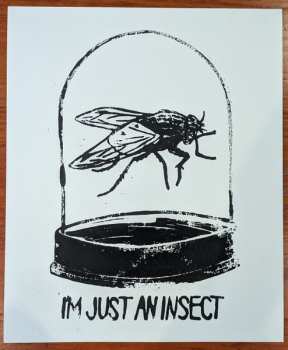 LP Placement: Insect LTD | NUM