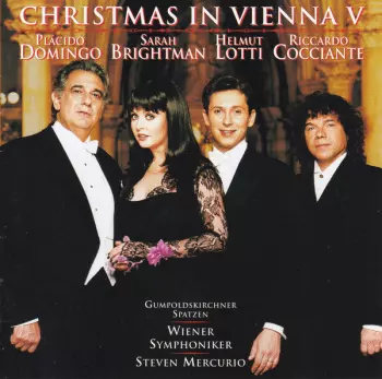 Wiener Symphoniker: Christmas In Vienna V