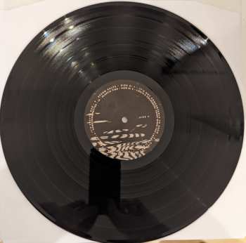 LP Plastic Mermaids: It's Not Comfortable To Grow