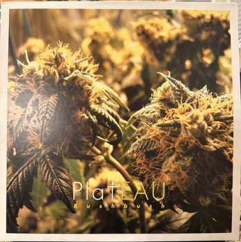 2LP Plateau: Kushbush