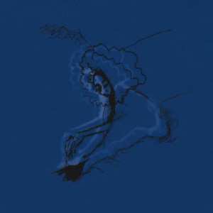 Album Polar Bear: Dim Lit