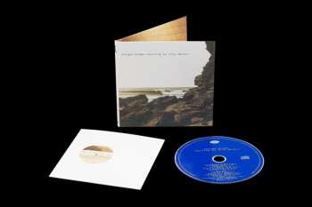 Album Polygon Window: Surfing On Sine Waves