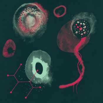 Album Polypores: The Impossibility
